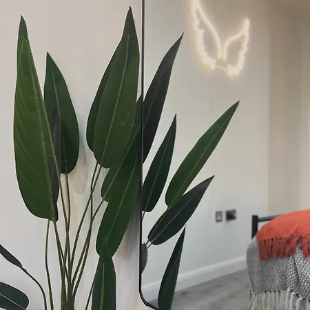 Cozy City Centre Double Suite - Free Gym! Leicester Exterior photo